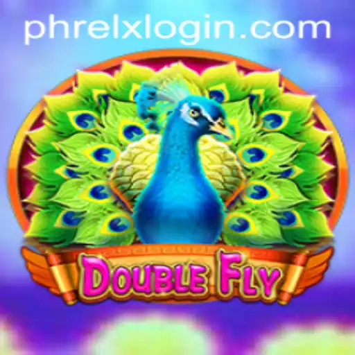 Introducing DoubleFly: A Thrilling New Game Experience